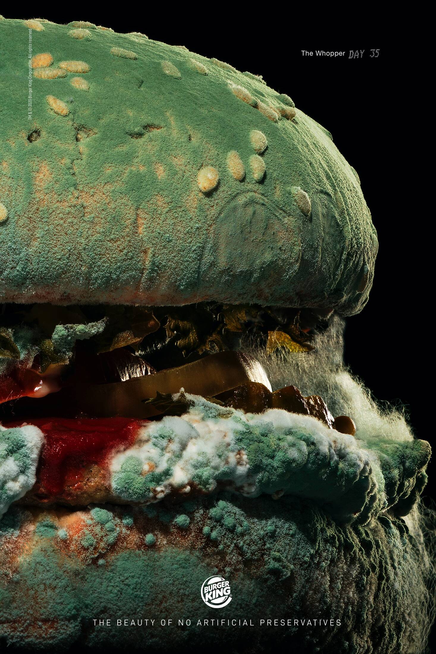 L'ours, le burger moisi et le grand écart - quand les marques osent vraiment