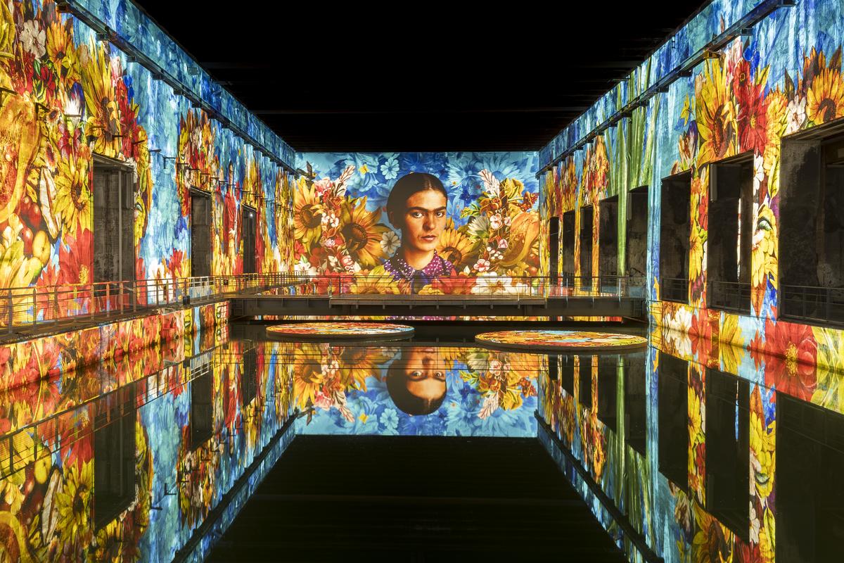 Bassins des Lumières - projections monumentales Matisse 2026